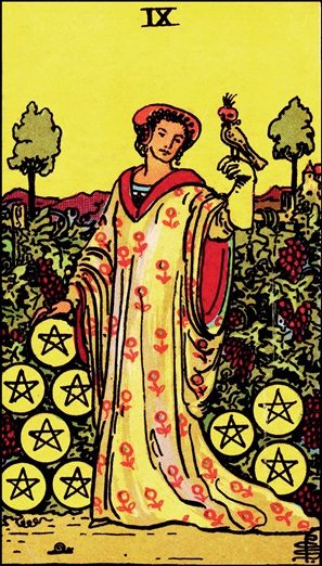 Nine of Pentacles tarot card
