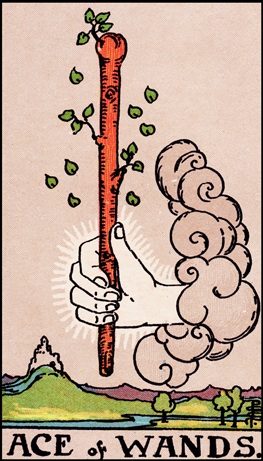 Ace of Wands tarot card
