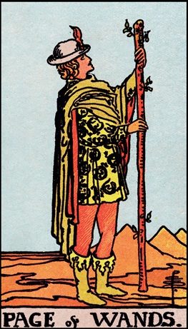 Page of Wands tarot card